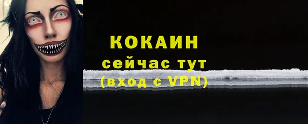винт Ладушкин