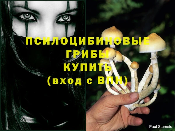 Альфа ПВП Лабытнанги