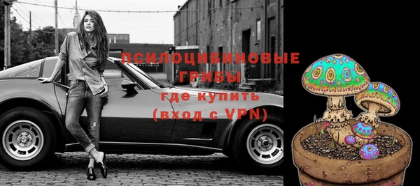 Альфа ПВП Лабытнанги